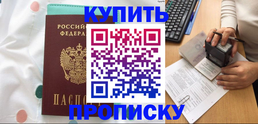 прописка в квартире в Шали